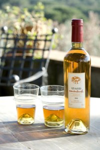Vin Santo