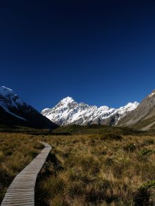 Mount Hood Hiking Path