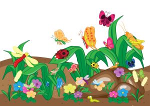 There are NO glassy winged sharpshooters in the pictures. These bugs are cute. Glassy winged sharpshooters are NOT.