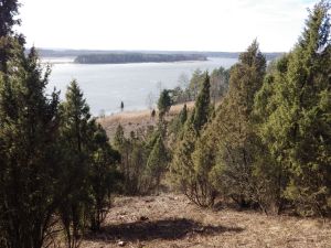 The Juniper Forest ("The Valley of Juniper) in Ziarat, Pakistan