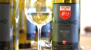 Photo via: http://www.humbleyardenglishwine.co.uk/
