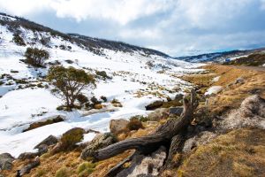 Kosciuszko National Park, Australia
